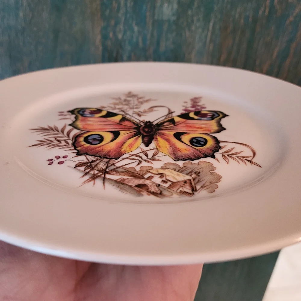 Kuba Bavaria Germany Butterfly Plate Porcelain ~ Pretty! ~ EUC ~ Nature Cottage